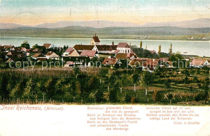 Mittelzell Insel Reichenau Panorama