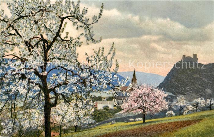 Oberwesel Rhein Schoenberg