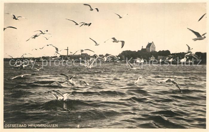 Heiligenhafen Ostseebad Panorama Moewen