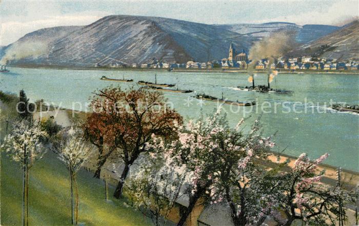 Lorch Rheingau Panorama