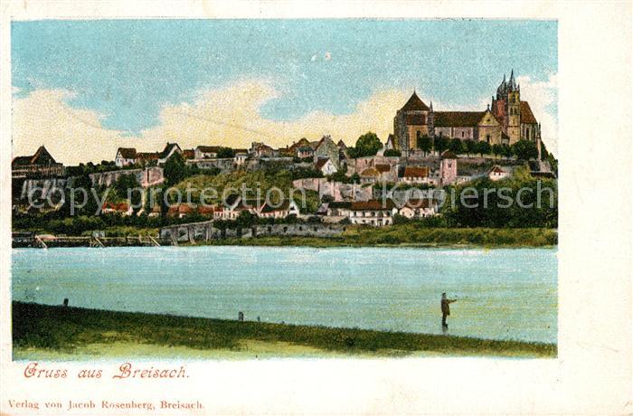 Breisach Rhein Muenster Panorama
