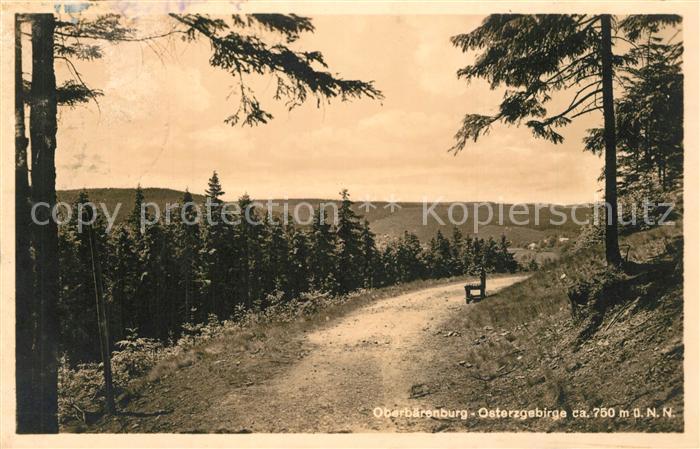 Oberbaerenburg Baerenburg Waldweg Landschaftspanorama Erzgebirge