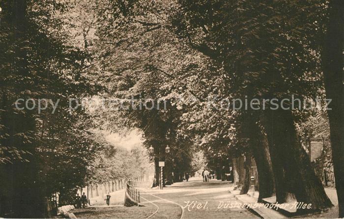 KIEL CITY Duesternbrooker Allee