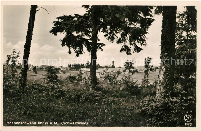 Hoechenschwand Schwarzwald BW Ansicht vom Waldrand aus