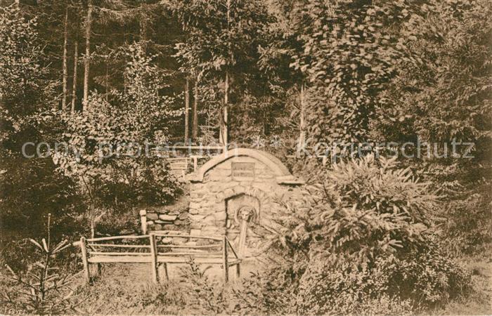 Masserberg Werraquelle