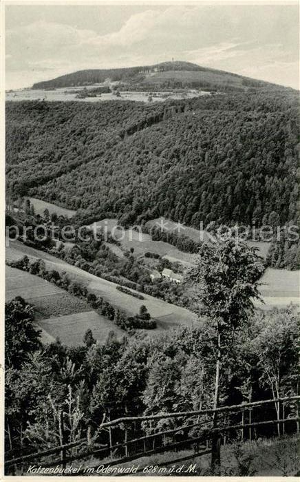 Katzenbuckel Odenwald Landschaftspanorama