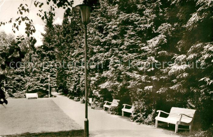 Bad Waldliesborn Kurpark