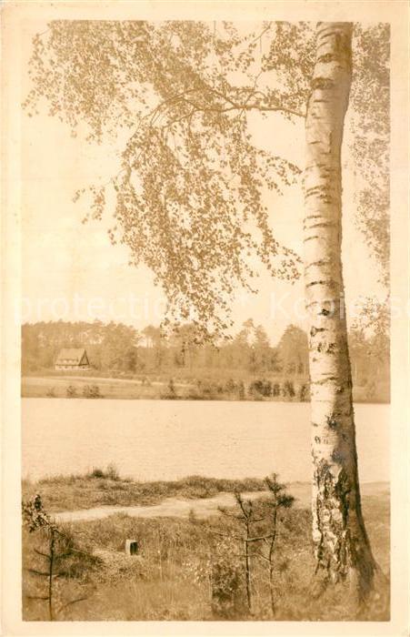 Schmannewitz Am alten Teich Dahlener Heide Birke Handabzug
