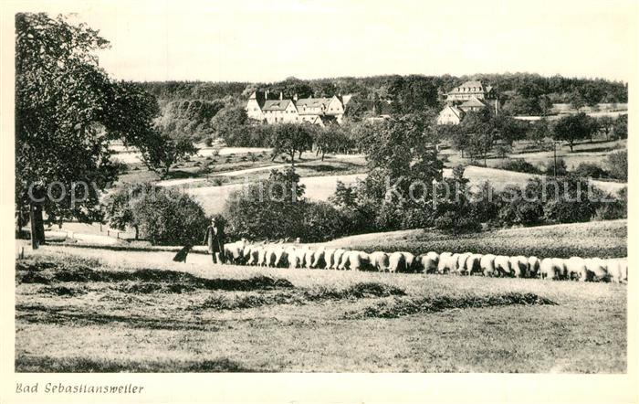 Bad Sebastiansweiler Landschaftspanorama Schaefer mit Schafherde