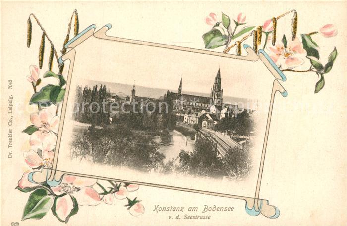 Konstanz Bodensee Blick von der Seestrasse Rheinbruecke Muenster Blumen
