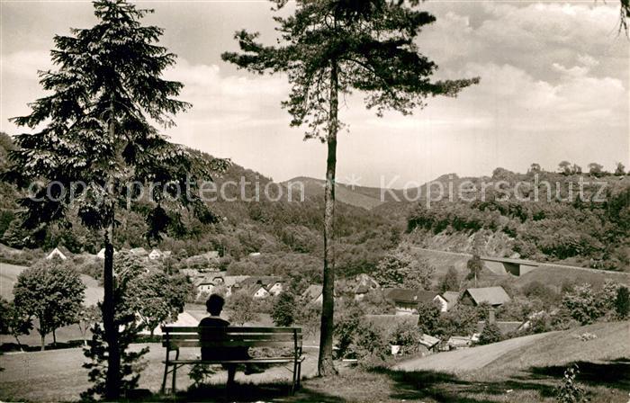 Goldmuehl Fichtelgebirge Panorama