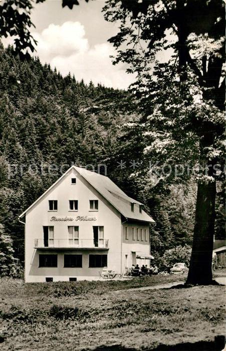 Warmensteinach Pension Poehner