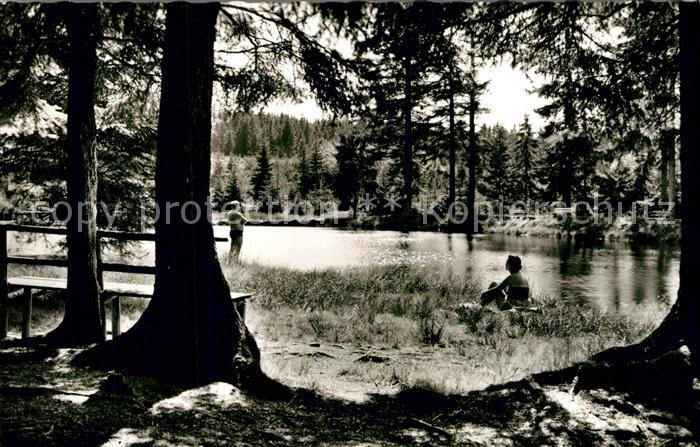 Fleckl Waldbad im Fichtelgebirge