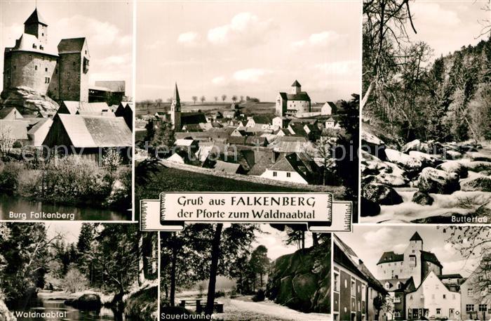 Falkenberg Oberpfalz Burg Falkenberg Panorama Butterfass Waldnaabtal Sauerbrunne