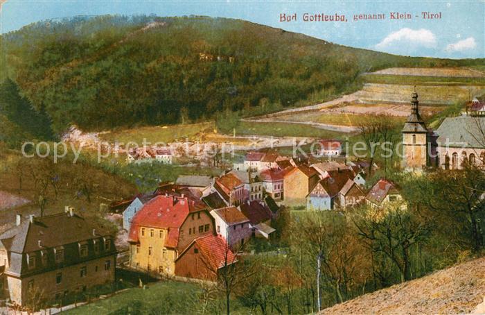 Bad Gottleuba-Berggiesshuebel Klein Tirol