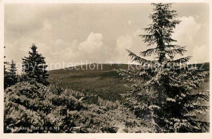 Brocken Harz Gipfelblick