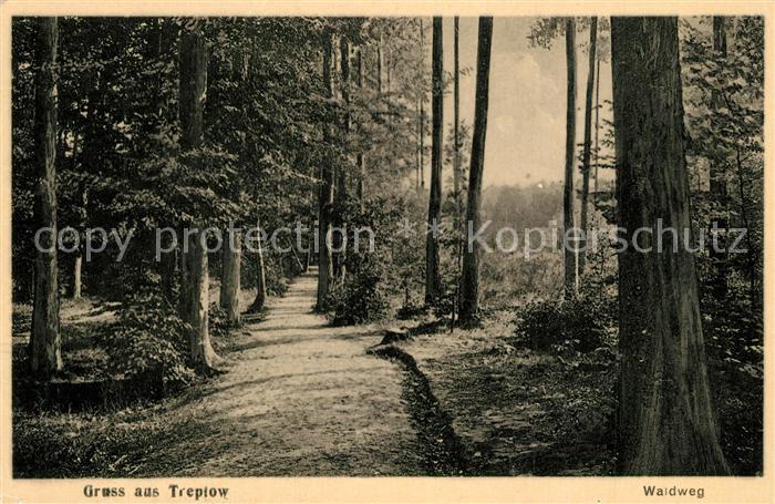 Treptow Tollense Waldweg