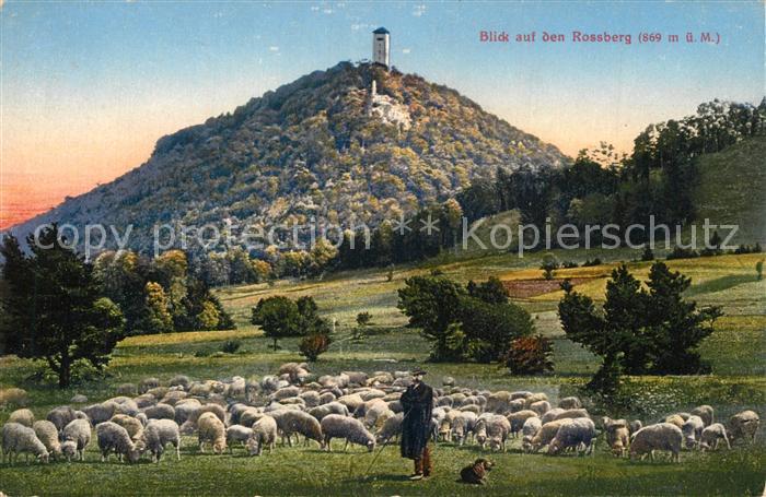 TueBINGEN BW Blick zum Rossberg Schafherde