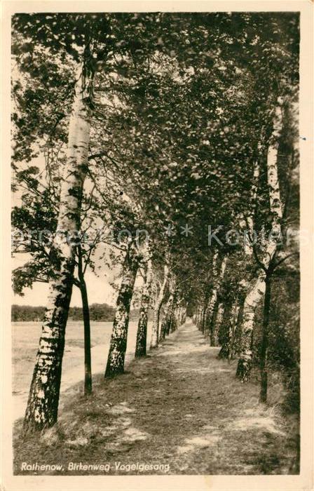 Rathenow Birkenweg Vogelsang