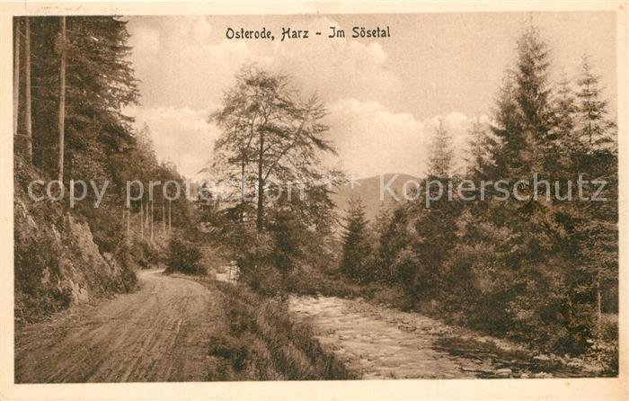 Osterode Harz Im Soesetal