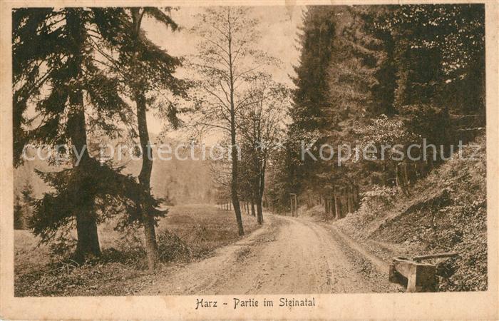 Steinatal Partie im Harz