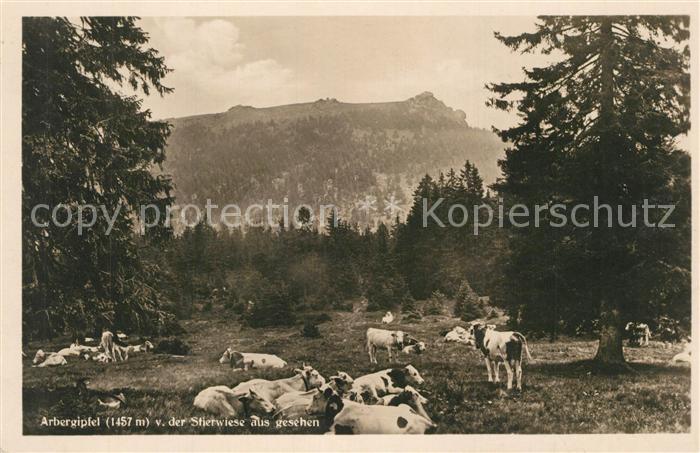 Bayrisch Eisenstein Arbergipfel von der Stierwiese gesehen