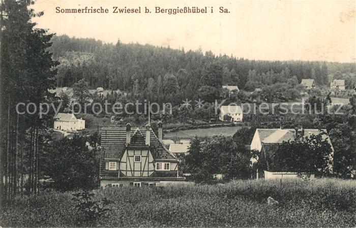 Zwiesel Bad Gottleuba-Berggiesshuebel Ortsansicht