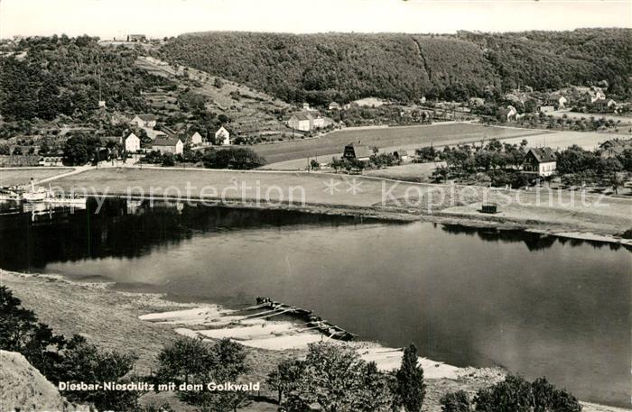Nieschuetz Diesbar mit dem Golkwald