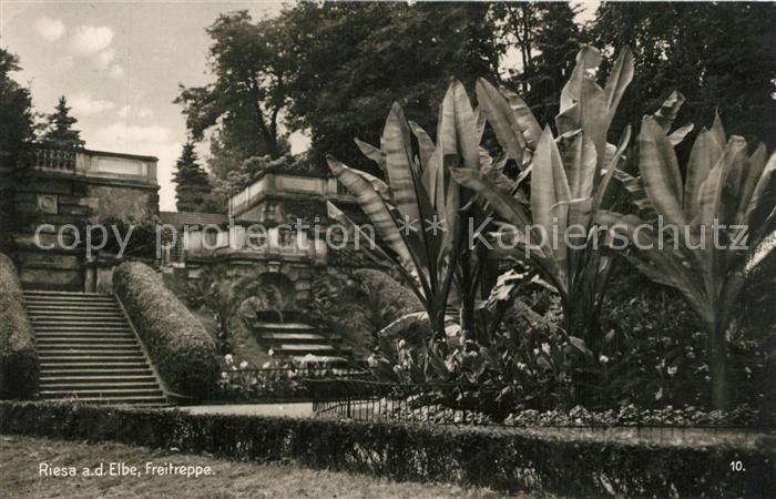 Riesa Sachsen Freitreppe