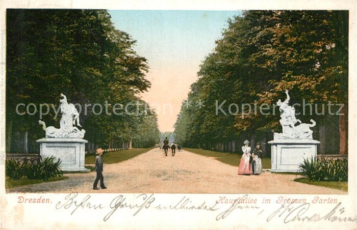 DRESDEN Elbe Hauptallee im Grossen Garten