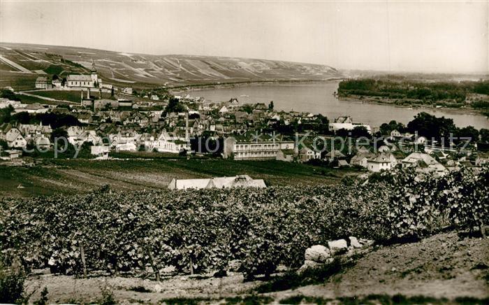 Nierstein Rhein Panorama