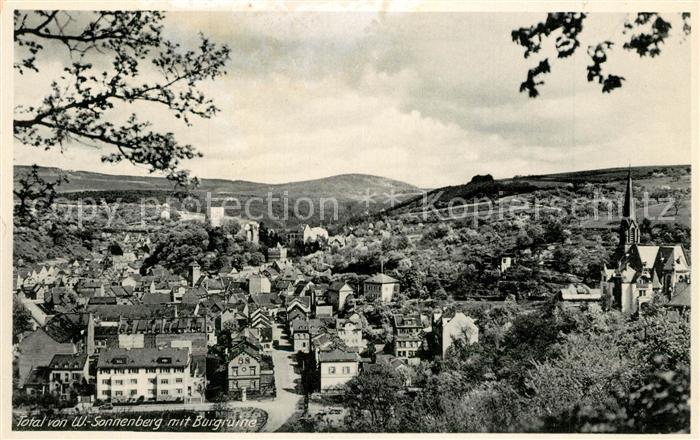 Sonnenberg Wiesbaden Total mit Burgruine