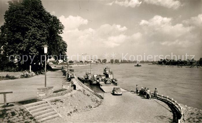 Speyer Rhein An der Rheinfaehre