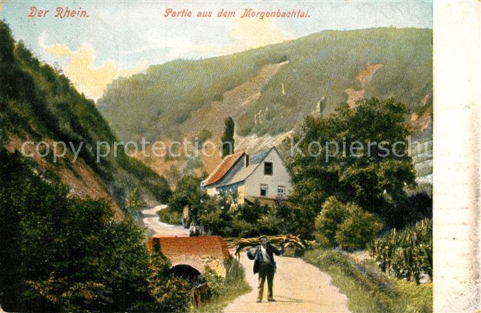 Assmannshausen Partie aus dem Morgenbachtal