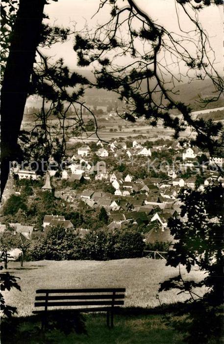 Bad Koenig Odenwald Ansicht vom Waldrand aus