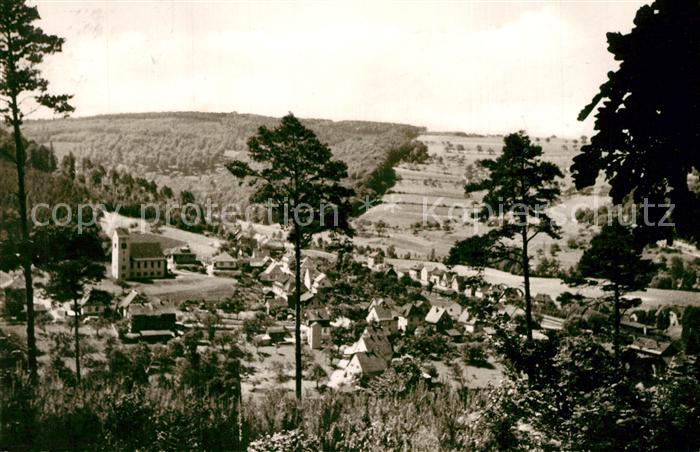 Zell Odenwald Panorama