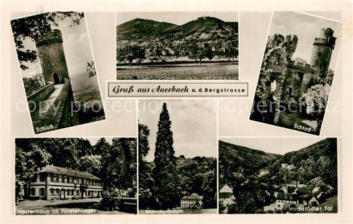 Auerbach Bergstrasse Panorama Schloss Herrenhaus im Fuerstenlager Mammutbaum Nat