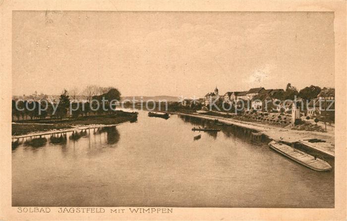 Jagstfeld Blick ueber die Jagst