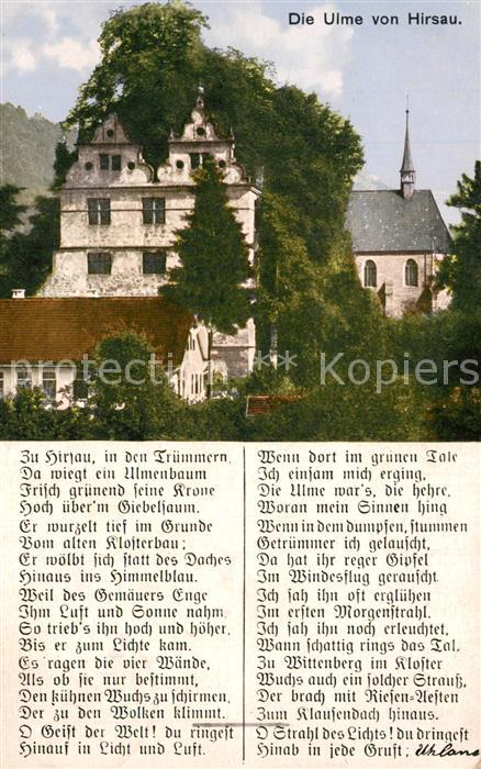 Hirsau Die Ulme von Hirsau Kloster