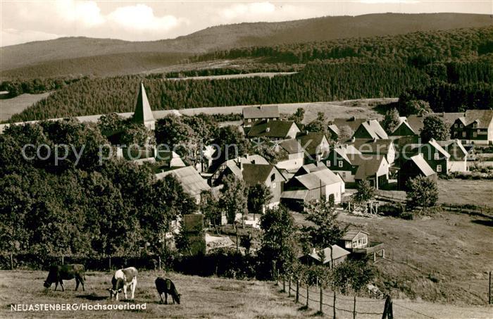 Neuastenberg Panorama