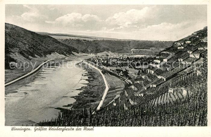 Winningen Mosel Groesster Weinbergbesitz Mosel Panorama