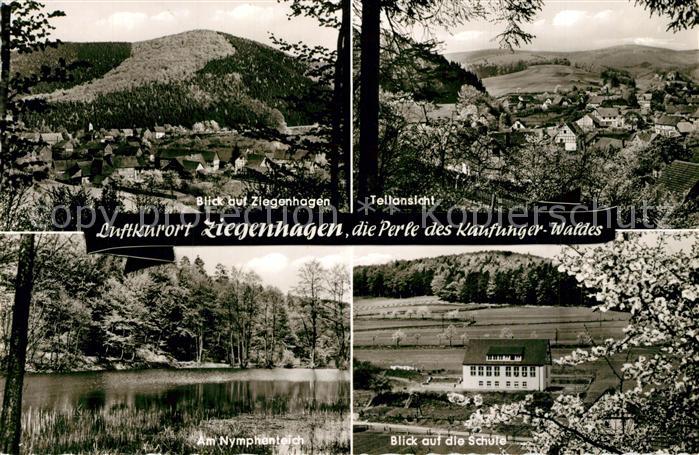 Ziegenhagen Witzenhausen Panorama Schule Nymphenteich