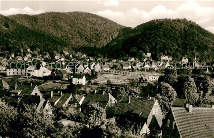 Harzburg Bad Panorama