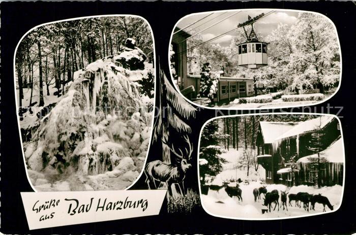 Harzburg Bad Schwebebahn Wild Winterlandschaften