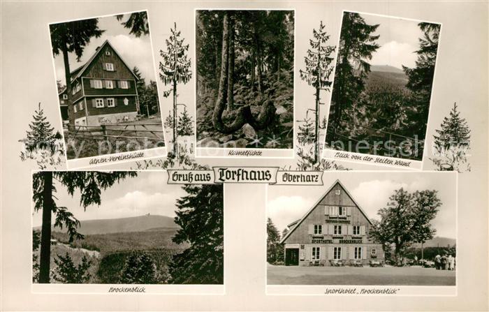 Torfhaus Harz Alpen Vereinshuette Kamelfichte Brockenblick Sporthotel