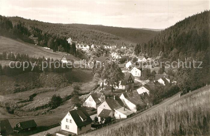 Altenau Harz Panorama