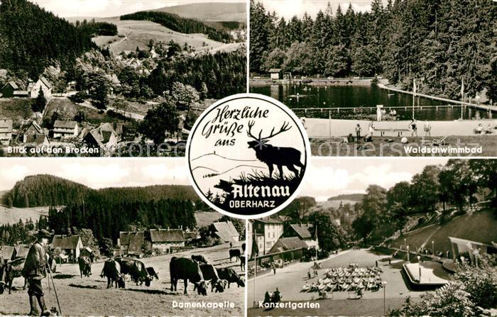Altenau Harz Brocken Waldschwimmbad Damenkapelle Konzertgarten