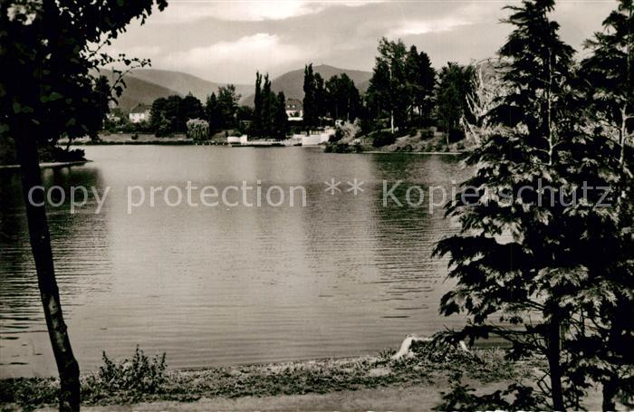 Herzberg Harz Jues See