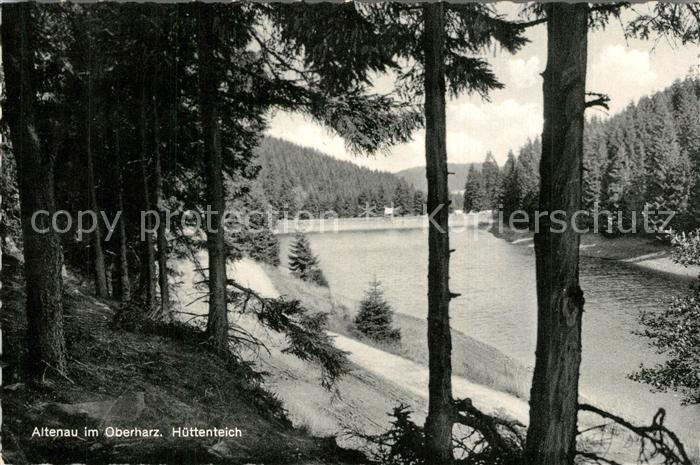 Altenau Harz Huettenteich