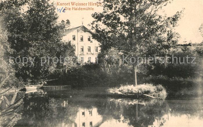 Weisser Hirsch Bad Haidemuehle